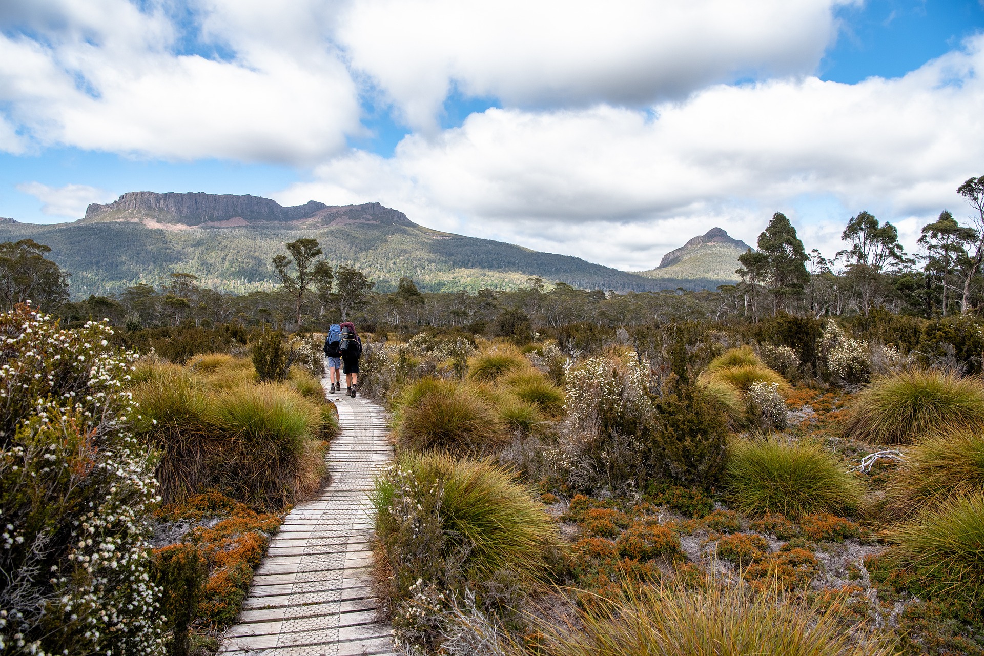 overland-track-3906035_1920